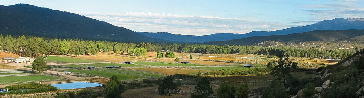 Ranch vista